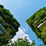 Eco Rust Course Basics: 7 Proven Tips to Avoid Costly Mistakes