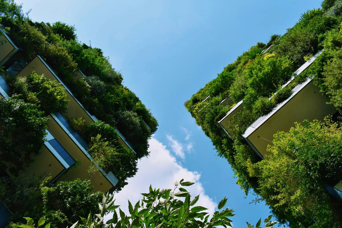 Eco Rust Course Basics: 7 Proven Tips to Avoid Costly Mistakes